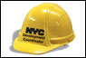 Development Coordinator Initiative 