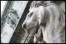 nypl