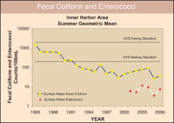 Fecal Coliform in Surface Waters