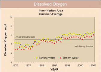Dissolved Oxygen in Surface Waters
