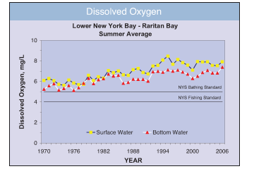 Dissolved Oxygen in Surface Waters