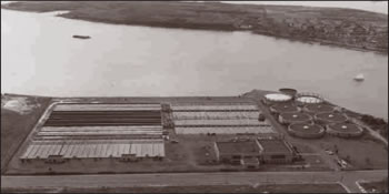 Hunts Point