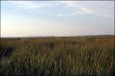 Jamaica Bay