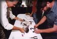 Banding a baby falcon
