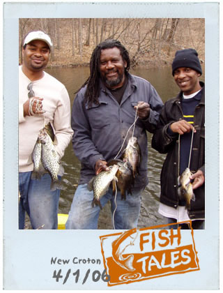 April 1st, Opening Day of trout season, was a good one for these three gentlemen. They didn't get any trout but did hook a pair of 13-inch crappies and some blue gills at Muscoot Cove on the New Croton Reservoir. From left to right are Ahmed Ali of Poughkeepsie and Roy and Cory Richardson of Brooklyn. Ahmed says that Roy's crappie was heavier than his, though they were equal in length.