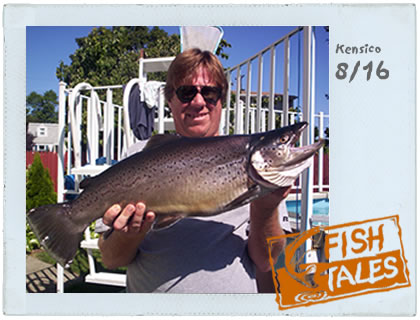 Bill Powers of Yonkers nabbed this beauty at the Kensico Reservoir in Westchester on August 16. It's a 10 lb. 12 oz. brown trout hooked on a floating black and silver rapala #9. As you can see, he was quite pleased with his catch.