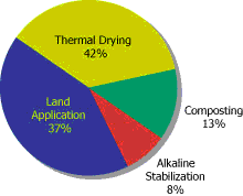 Pie Chart