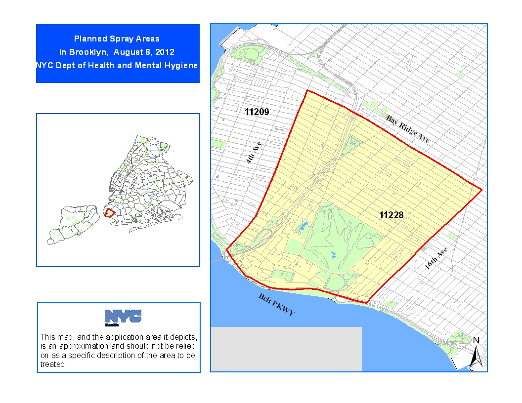 Brooklyn Zip Codes