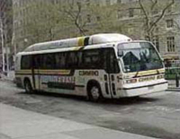 Image of Bus