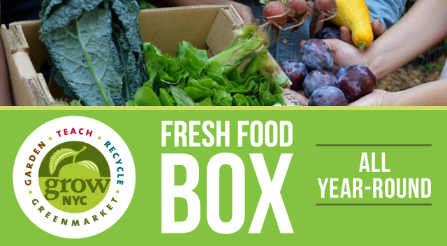 Fresh Food Box