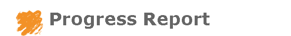 Progress Report