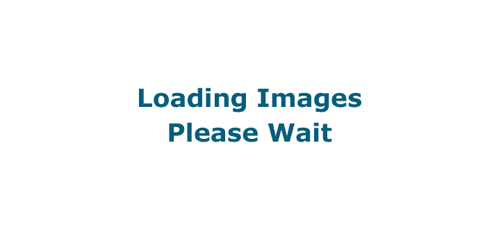 Loading Images