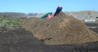 Christmas Tree Operations at Fresh Kills Composting Site