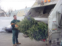 DSNY_Xmas-tree_Collection