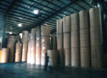 new paper rolls at Visy plant