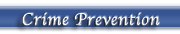Crime Prevention Section
