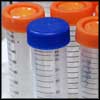 Disease Outbreaks