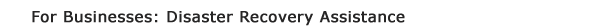 For Businesses: Disaster Recovery Assistance