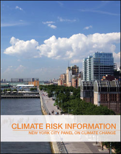 New York Panel on Climate Change Report (February 17, 2009)