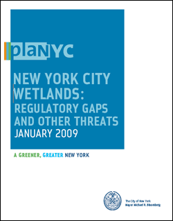 New York City Wetlands: Regulatory Gaps and Other Threats