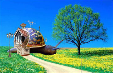 A Global Partners Junior class in Jerusalem created a snail/human hybrid home using digital image software.