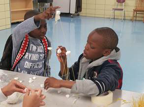 P.S. 307, Daniel Hale Williams School, Brooklyn