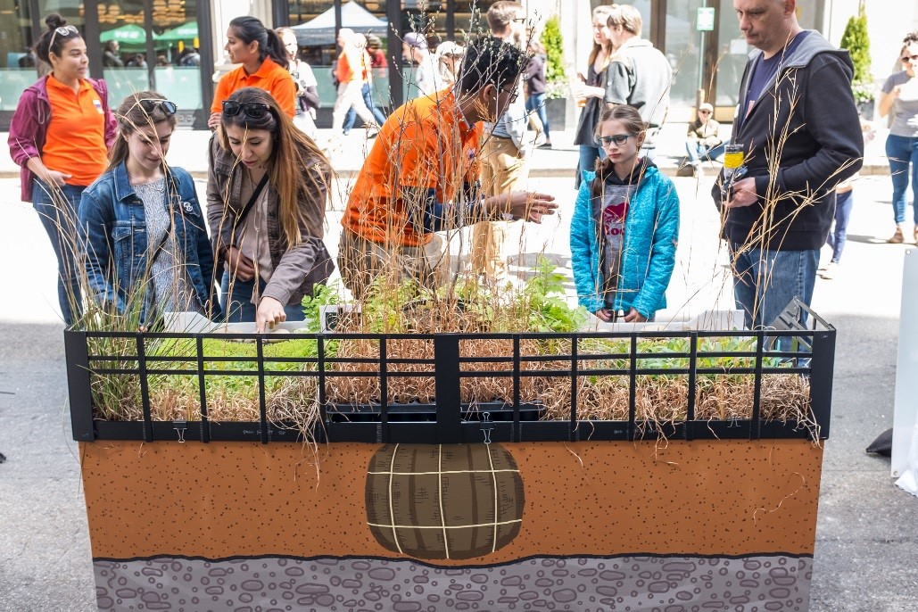 mock rain garden