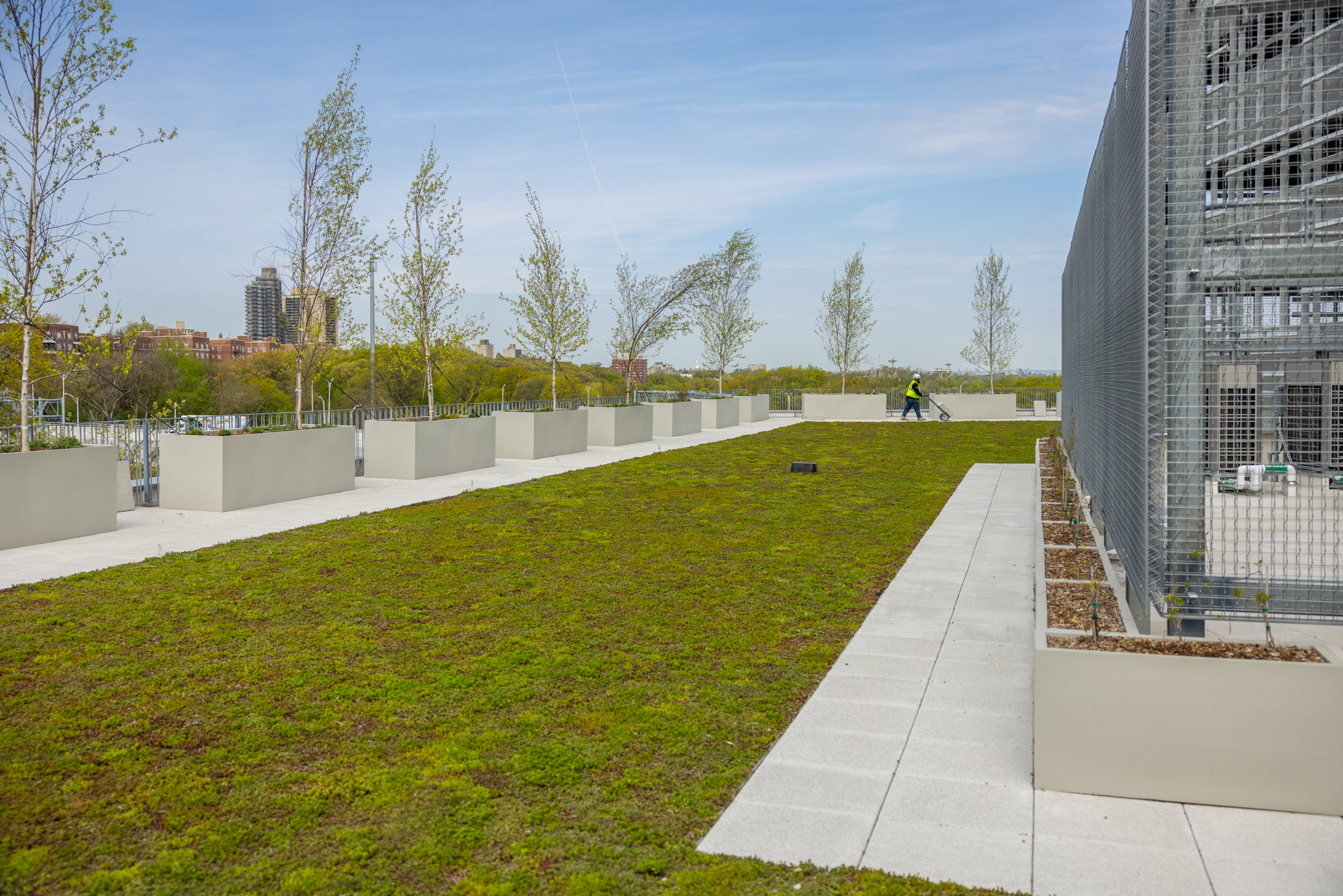 the green roof at the Queens Garage