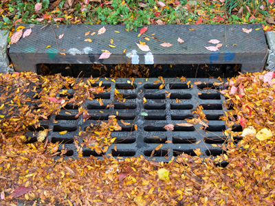 catch basin with leaves on top of the grates