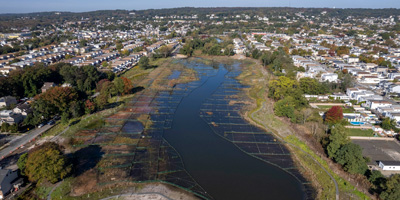 a lush overhead view of a bluebelt wetland