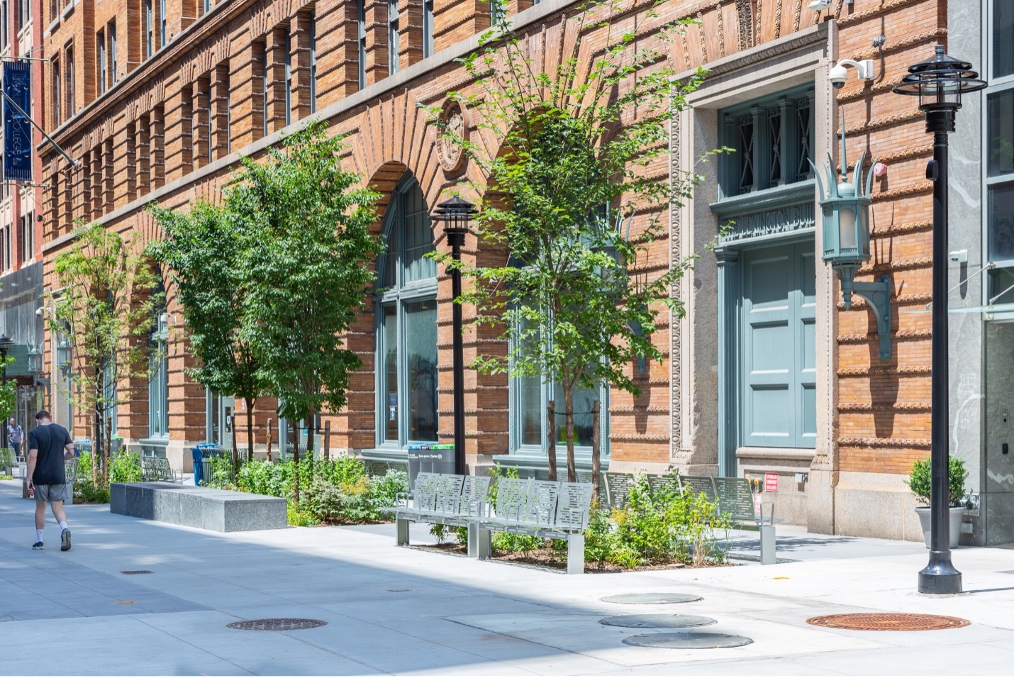 Renovated Plaza with trees