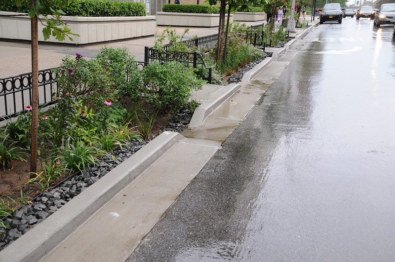 Rain Garden in Rego Park, Queens