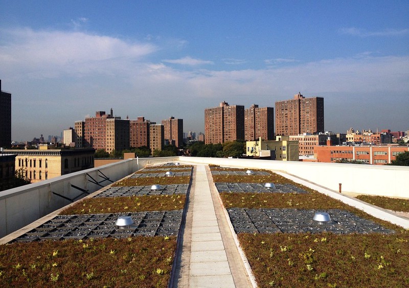 Blue Roof in the South Bronx