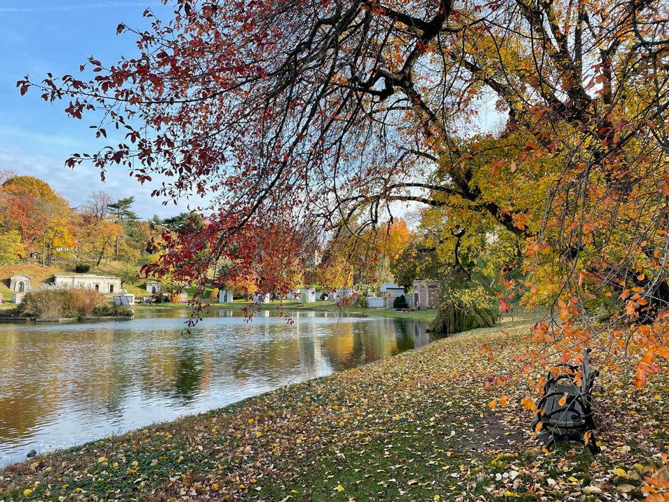 View overlooking Sylvan Water and Sunset Park (Credit: Stacy Locke)