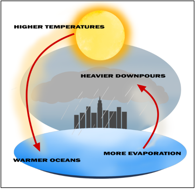 graphic showing the cycle of higher temperatures warming the oceans and causing heavier rainfall