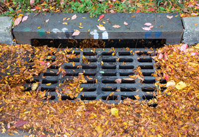 a catch basin with leaves that are covering the top of the grates