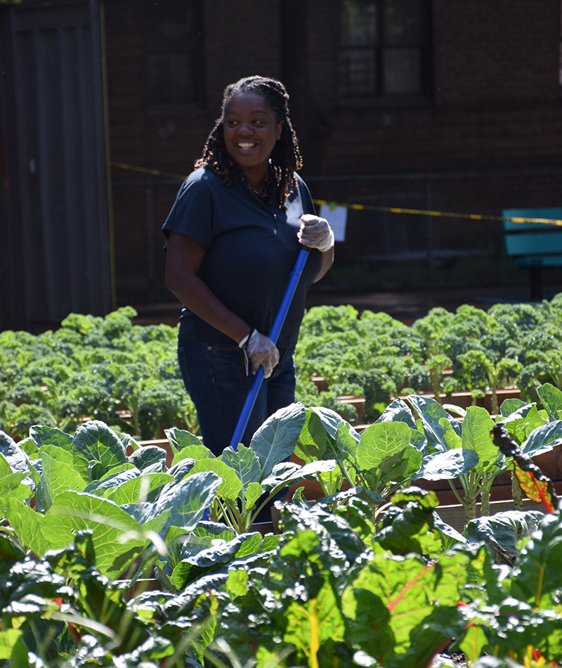 Commissioner Sideya Sherman volunteering with the Green City Force