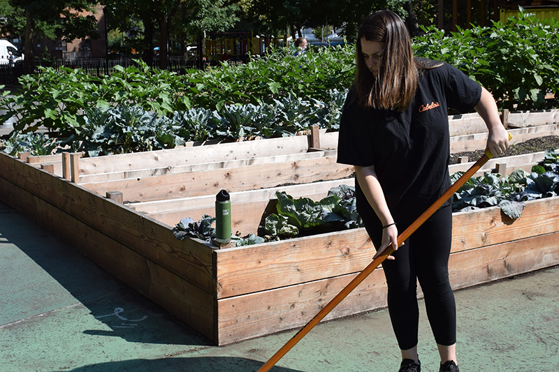 Dylaney Douwman, Chief of Staff at NYC Mayor's Office of Food Policy lending a helping hand.