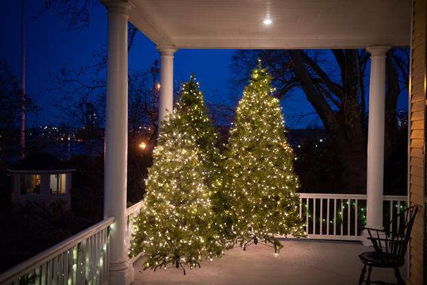 Christmas trees with lights on porch