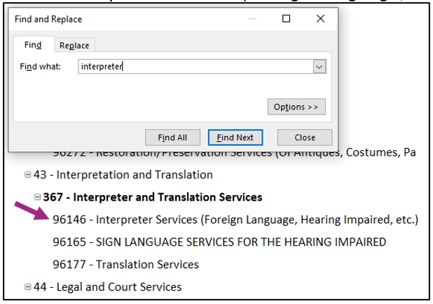 Searching for the word interpreter using Find and Replace.