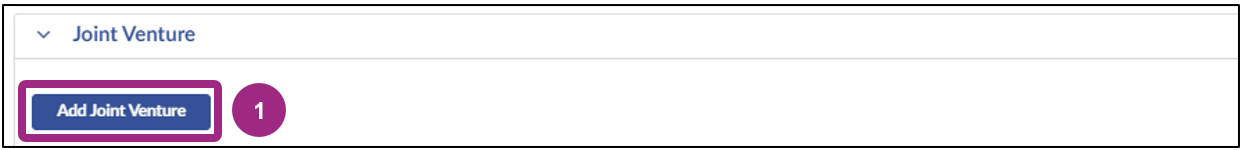 The Joint Venture section displays.