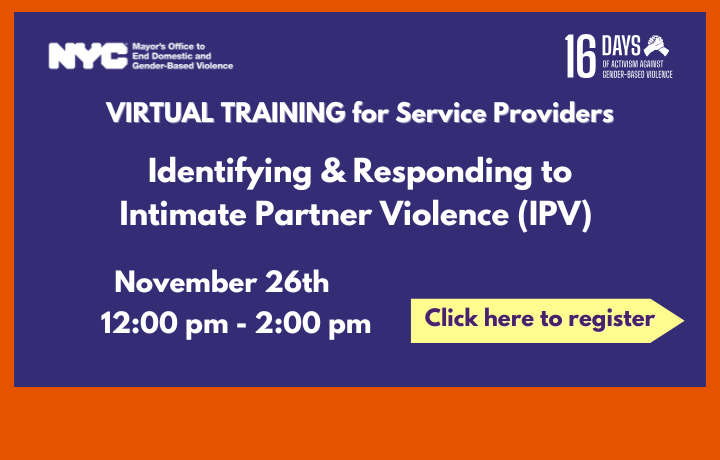 Blue and orange background with text: Virtual Training: Identifying & Responding to Intimate Partner Violence (IPV), November 26tn, 12:00 pm – 2:00 pm
                                           