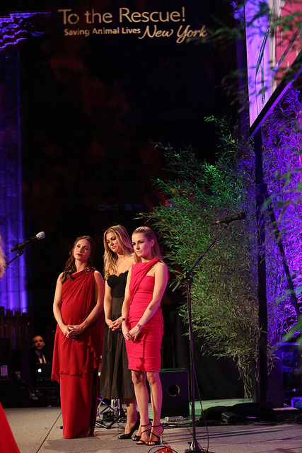 Portrait Image 02 - three women on a stage. This image is a placeholder image designed to reflect the placement of a portrait.