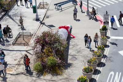 A huge bouquet of flowers takes over a wide pedestrian area in Flatiron