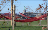 Photo of Governors Island - Photo Credit Timothy Schenck Photography